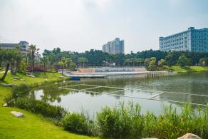 深圳万丰湖湿地公园