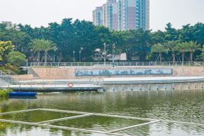 深圳万丰湖湿地公园