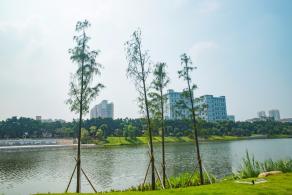 深圳万丰湖湿地公园