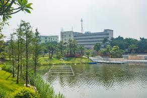 深圳万丰湖湿地公园
