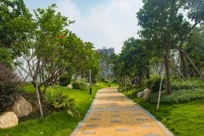 深圳万丰湖湿地公园