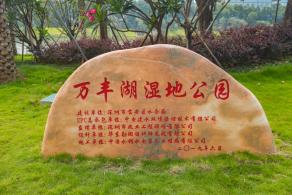 深圳万丰湖湿地公园