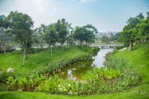 深圳万丰湖湿地公园