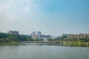 深圳万丰湖湿地公园