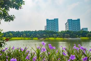 深圳万丰湖湿地公园