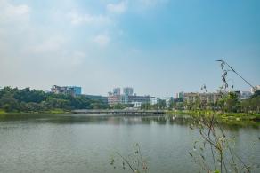 深圳万丰湖湿地公园