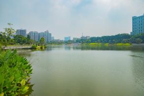 深圳万丰湖湿地公园