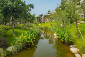 深圳万丰湖湿地公园