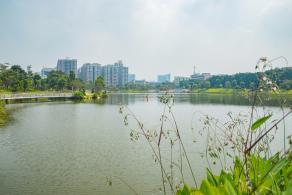 深圳万丰湖湿地公园