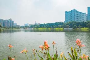 深圳万丰湖湿地公园