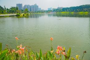 深圳万丰湖湿地公园