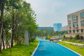 深圳万丰湖湿地公园