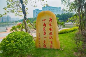 深圳万丰湖湿地公园