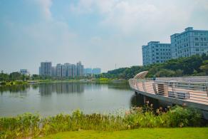深圳万丰湖湿地公园