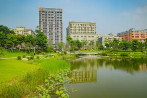 深圳万丰湖湿地公园