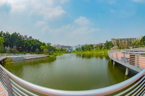 深圳万丰湖湿地公园