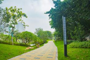 深圳万丰湖湿地公园