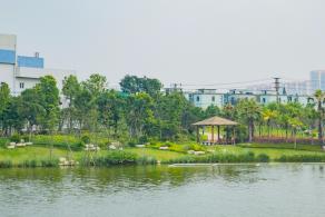 深圳万丰湖湿地公园
