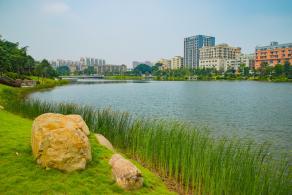 深圳万丰湖湿地公园