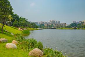 深圳万丰湖湿地公园