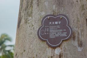 中山公园