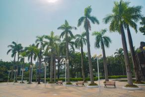 中山公园