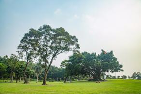 中山公园