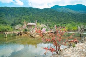 杨梅坑/鹿嘴山庄