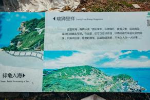 杨梅坑/鹿嘴山庄