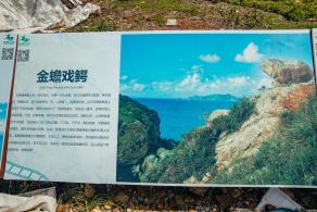 杨梅坑/鹿嘴山庄