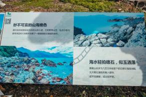 杨梅坑/鹿嘴山庄