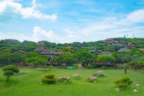 杨梅坑/鹿嘴山庄