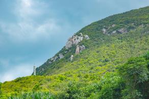 杨梅坑/鹿嘴山庄