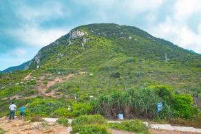 杨梅坑/鹿嘴山庄