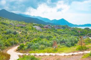杨梅坑/鹿嘴山庄