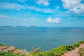 杨梅坑/鹿嘴山庄