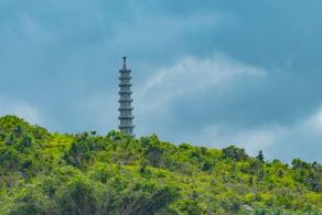 杨梅坑/鹿嘴山庄