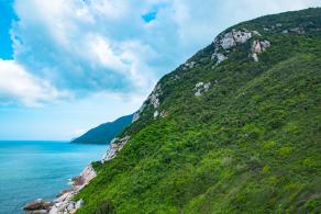 杨梅坑/鹿嘴山庄