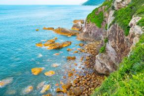 杨梅坑/鹿嘴山庄