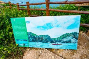 杨梅坑/鹿嘴山庄