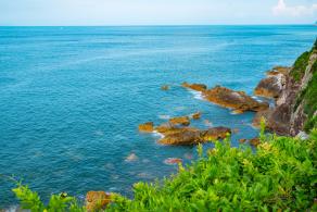 杨梅坑/鹿嘴山庄