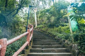 深圳南山公园(大南山）