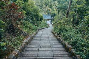 深圳南山公园(大南山）