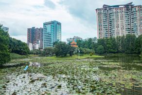 深圳四海公园