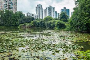 深圳四海公园