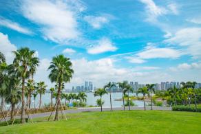 深圳前海石公园