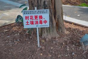 深圳前海石公园