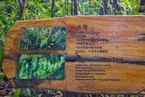 华侨城湿地公园