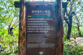 华侨城湿地公园