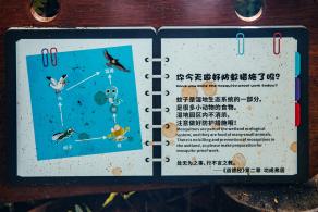 华侨城湿地公园